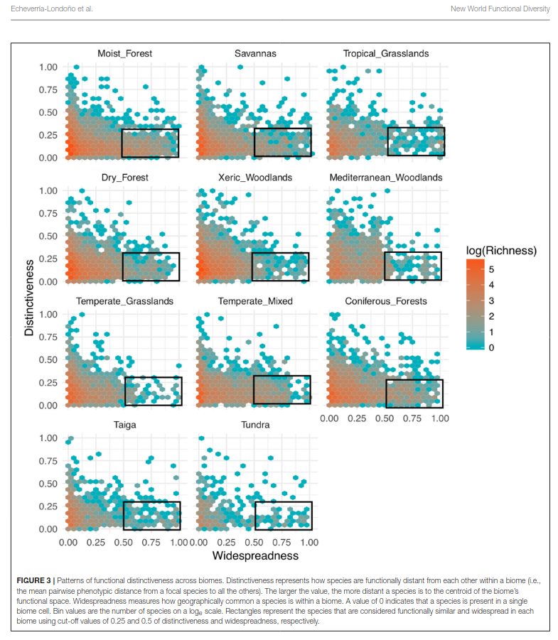 Conceptual model of evolutionary diversity along gradients