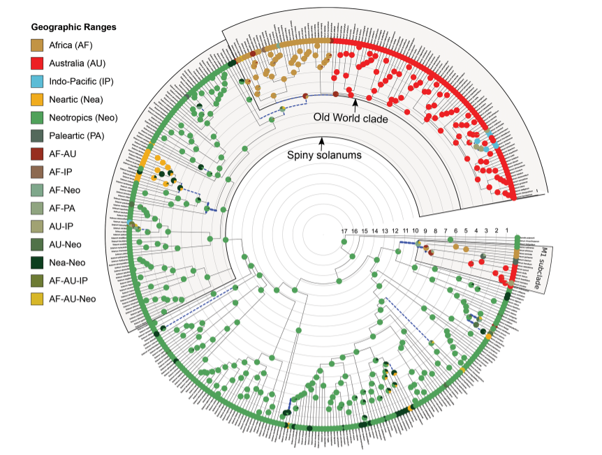 Biome overlap and shared species chord diagram